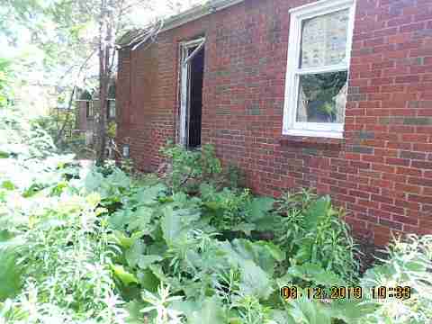 18961 Joann (7)_m.jpg